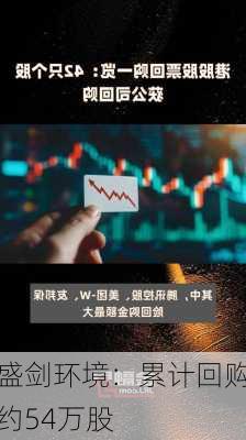 盛剑环境：累计回购约54万股