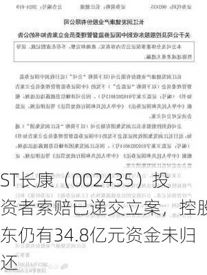 ST长康（002435）投资者索赔已递交立案，控股股东仍有34.8亿元资金未归还