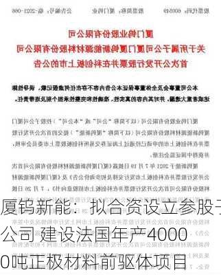 厦钨新能：拟合资设立参股子公司 建设法国年产40000吨正极材料前驱体项目