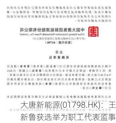 大唐新能源(01798.HK)：王新鲁获选举为职工代表监事