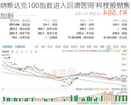 纳斯达克100指数进入回调区间 科技股抛售加剧