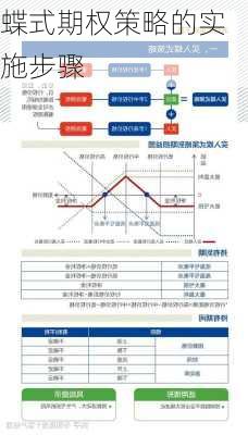 蝶式期权策略的实施步骤