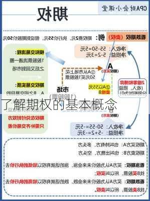 了解期权的基本概念