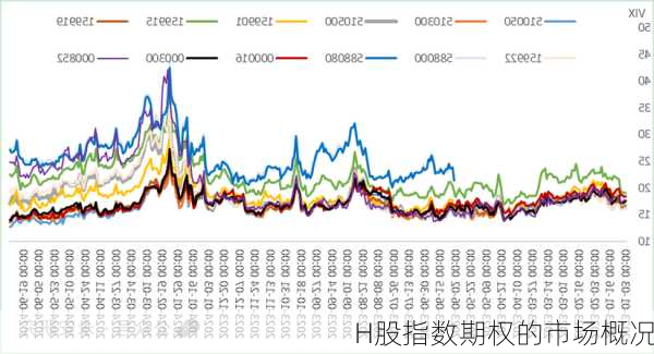 H股指数期权的市场概况