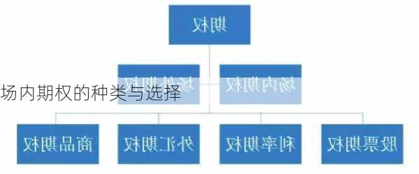 场内期权的种类与选择