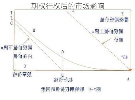 期权行权后的市场影响