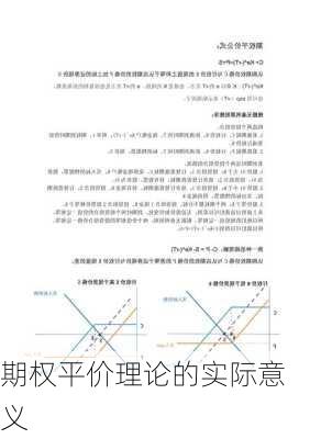 期权平价理论的实际意义