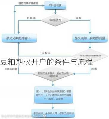 豆粕期权开户的条件与流程