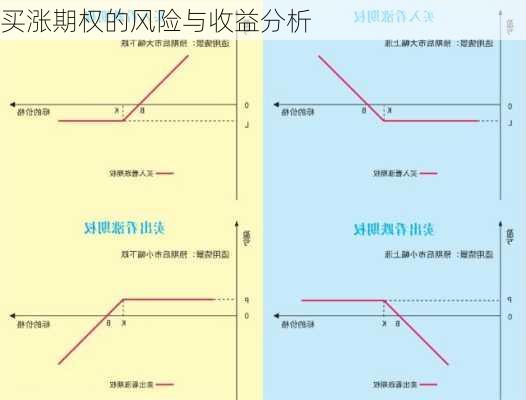 买涨期权的风险与收益分析