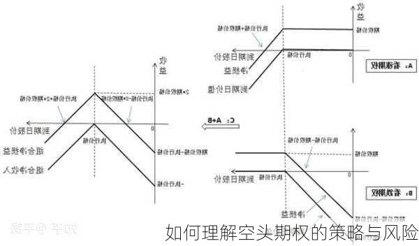 如何理解空头期权的策略与风险