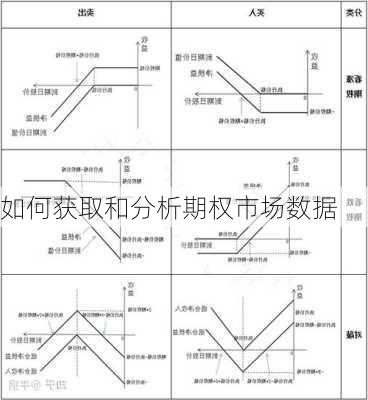 如何获取和分析期权市场数据