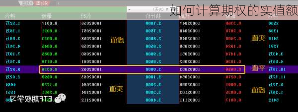 如何计算期权的实值额