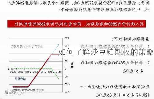 如何了解炒豆粕期权的策略