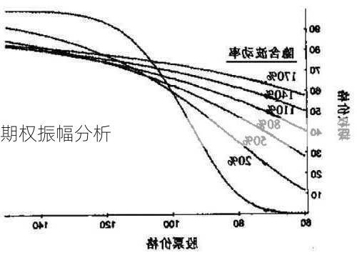 期权振幅分析