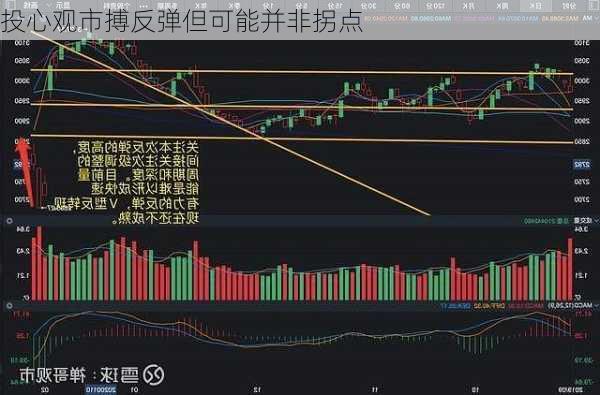 投心观市搏反弹但可能并非拐点