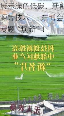 展示绿色低碳、新能源等技术……东博会专题“焕新”！