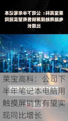 莱宝高科：公司下半年笔记本电脑用触摸屏销售有望实现同比增长