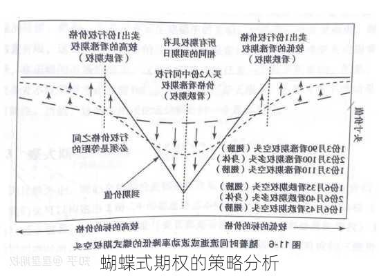 蝴蝶式期权的策略分析