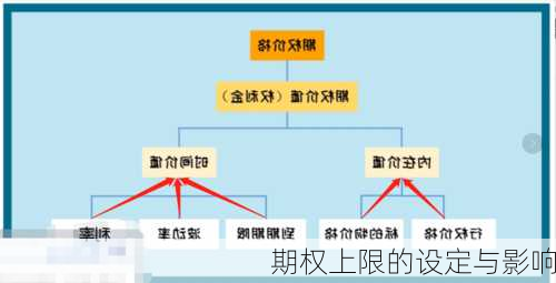 期权上限的设定与影响