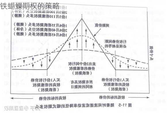 铁蝴蝶期权的策略