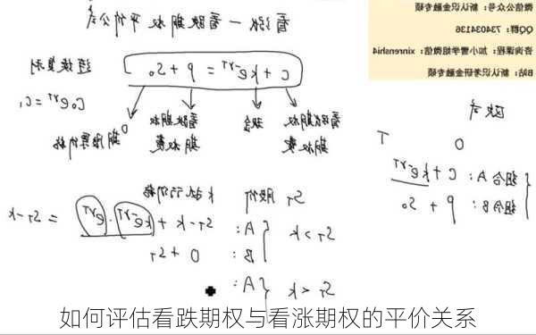 如何评估看跌期权与看涨期权的平价关系