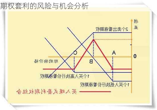 期权套利的风险与机会分析