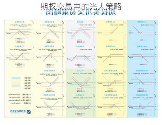 期权交易中的光大策略