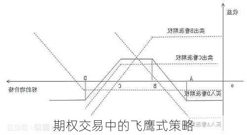 期权交易中的飞鹰式策略