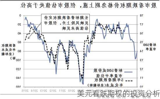 美元看跌期权的投资分析