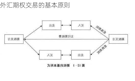 外汇期权交易的基本原则