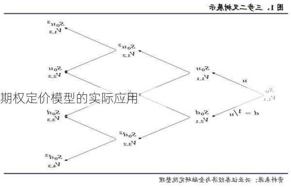 期权定价模型的实际应用