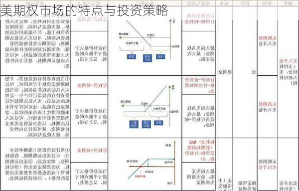 美期权市场的特点与投资策略