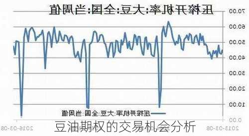 豆油期权的交易机会分析