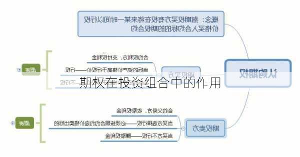 期权在投资组合中的作用