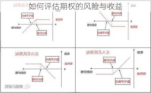 如何评估期权的风险与收益