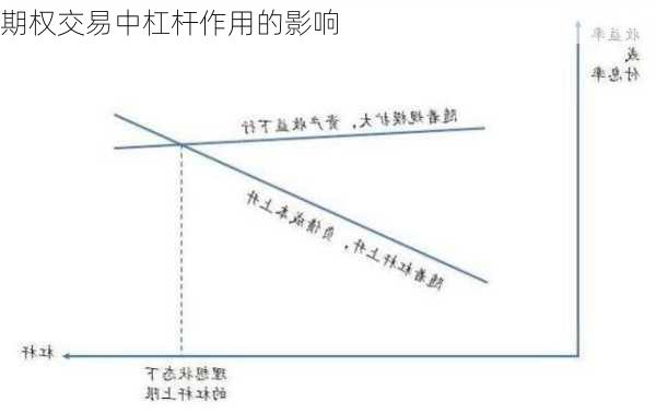 期权交易中杠杆作用的影响