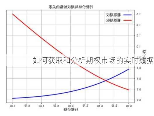 如何获取和分析期权市场的实时数据