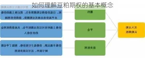 如何理解豆粕期权的基本概念