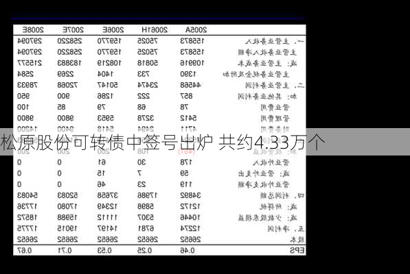 松原股份可转债中签号出炉 共约4.33万个