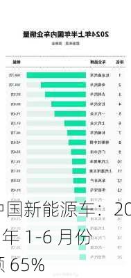 中国新能源车：2024 年 1-6 月份额 65%