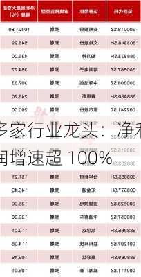 多家行业龙头：净利润增速超 100%