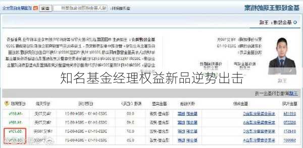 知名基金经理权益新品逆势出击