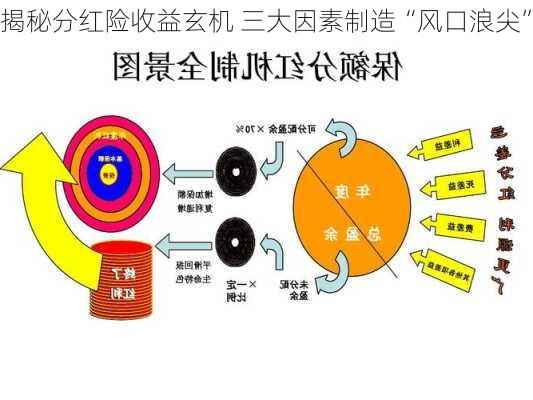 揭秘分红险收益玄机 三大因素制造“风口浪尖”