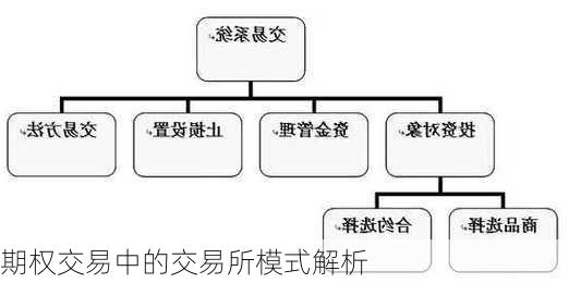 期权交易中的交易所模式解析