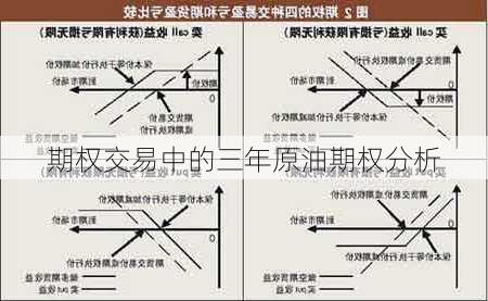 期权交易中的三年原油期权分析