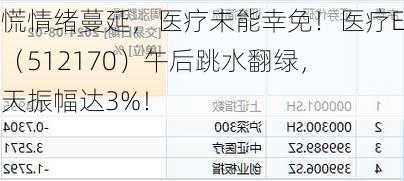 恐慌情绪蔓延，医疗未能幸免！医疗ETF（512170）午后跳水翻绿，全天振幅达3%！