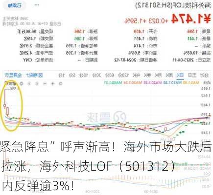 “紧急降息”呼声渐高！海外市场大跌后暴力拉涨，海外科技LOF（501312）场内反弹逾3%！