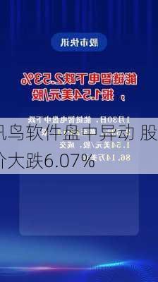 讯鸟软件盘中异动 股价大跌6.07%