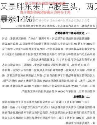 又是胖东来！A股巨头，两天暴涨14%！