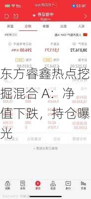 东方睿鑫热点挖掘混合 A：净值下跌，持仓曝光